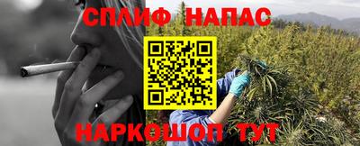 ECSTASY Заволжье