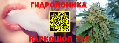 ПСИЛОЦИБИНОВЫЕ ГРИБЫ Заводоуковск